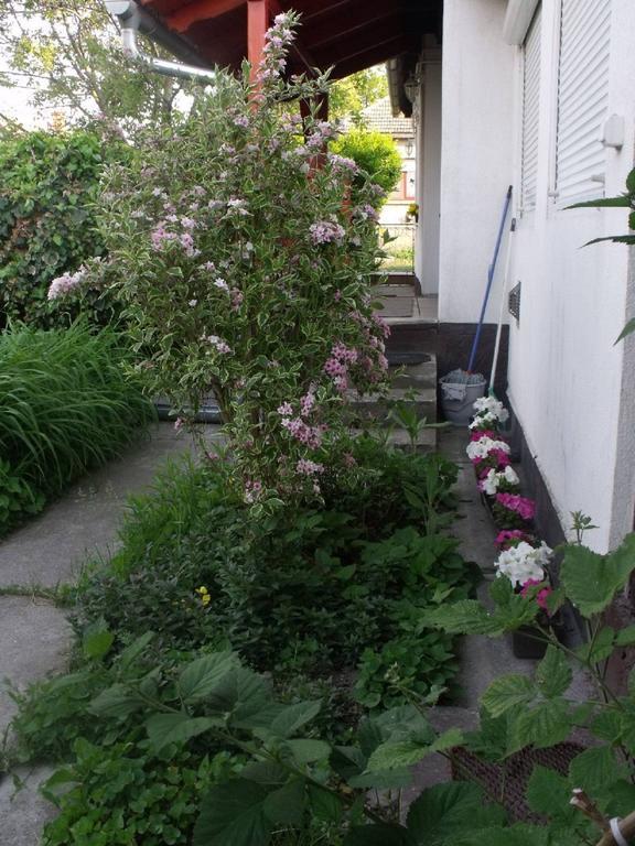 Kerékpáros és Zarándok Vendégház Apostag Habitación foto